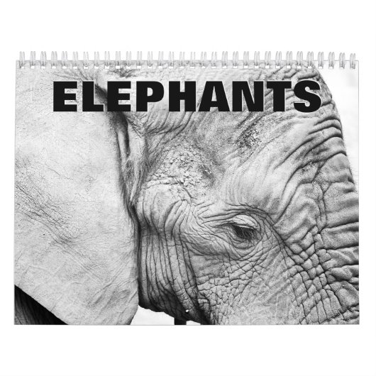 Elephants Wall Calendar Kalender (Hoes)