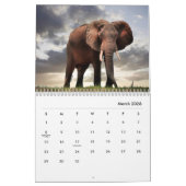 Elephants Wall Calendar Kalender (Mar 2026)