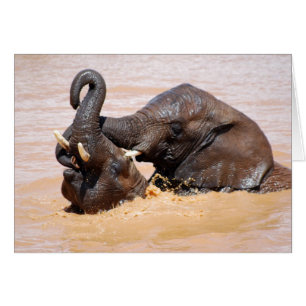 Elephants-waterwereld