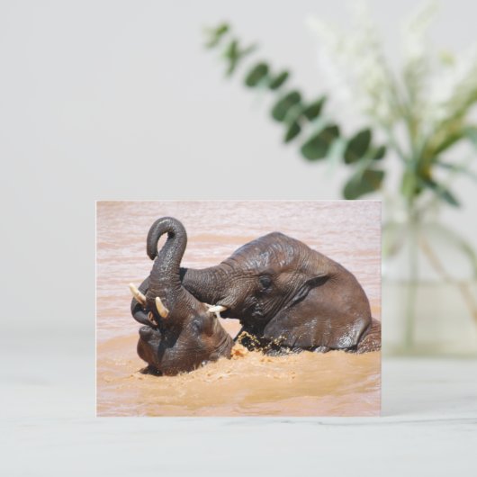 Elephants-waterwereld Briefkaart (Staand voorkant)