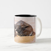 Elephants-waterwereld Tweekleurige Koffiemok (Voorkant rechts)
