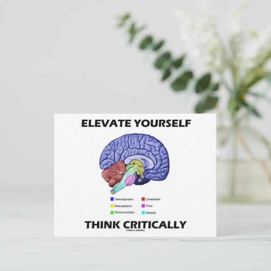 Elevate jezelf denk kritisch over brainy Advice Briefkaart (Staand voorkant)