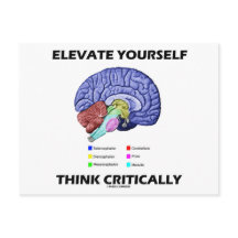 Elevate jezelf denk kritisch over brainy Advice