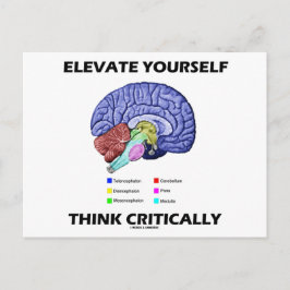 Elevate jezelf denk kritisch over brainy Advice Briefkaart