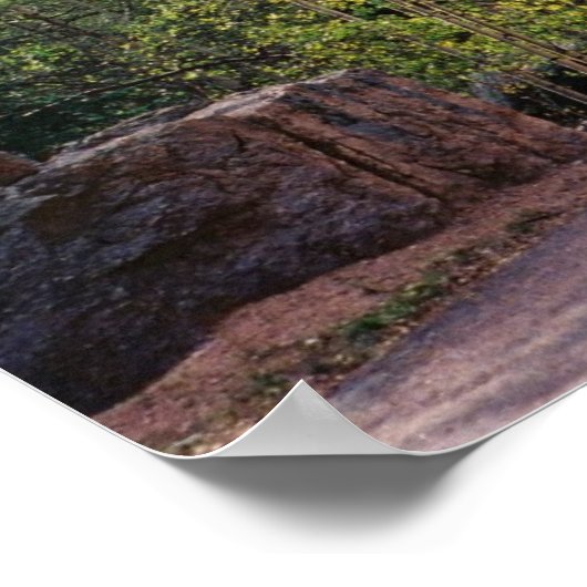 Eleven Mile Canyon Poster (Hoek)