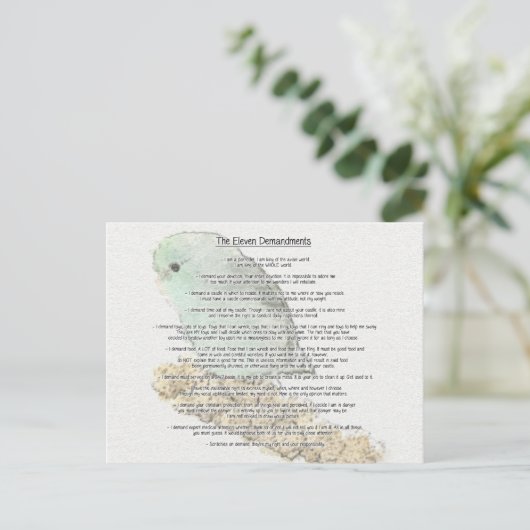 Elf demandingen van Parrotlets Briefkaart (Staand voorkant)