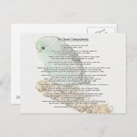 Elf demandingen van Parrotlets Briefkaart (Voorkant / Achterkant)
