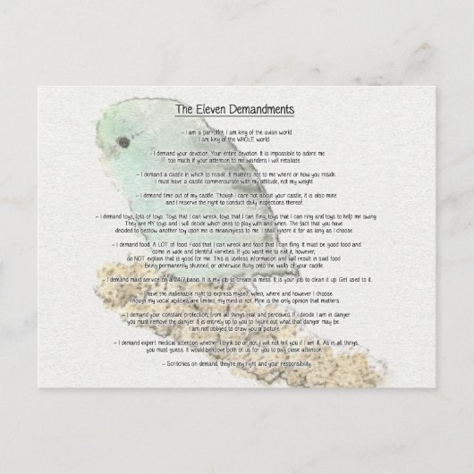 Elf demandingen van Parrotlets Briefkaart (Voorkant)