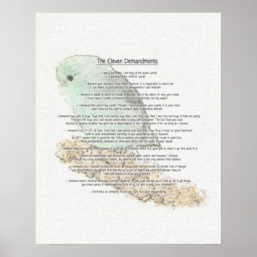 Elf demandingen van Parrotlets Poster (Voorkant)