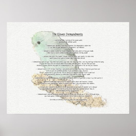 Elf demandingen van Parrotlets Poster (Voorkant)