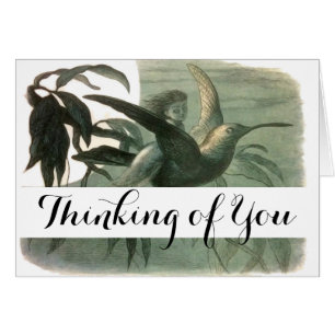 Elf Fairies Elfen Maan Nachtscène Vogel Vliegen