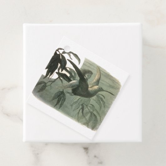 Elf Fairies Elfen Maan Nachtscène Vogel Vliegen Bedankjes Labels (In situ)