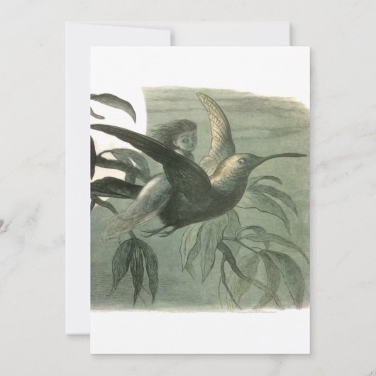 Elf Fairies Elfen Maan Nachtscène Vogel Vliegen Kaart (Achterkant)