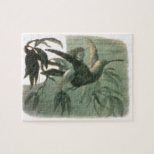 Elf Fairies Elfen Maan Nachtscène Vogel Vliegen Legpuzzel