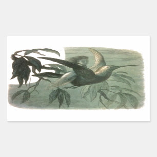 Elf Fairies Elfen Maan Nachtscène Vogel Vliegen Rechthoekige Sticker