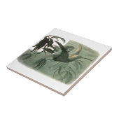 Elf Fairies Elfen Maan Nachtscène Vogel Vliegen Tegeltje (Zijkant)