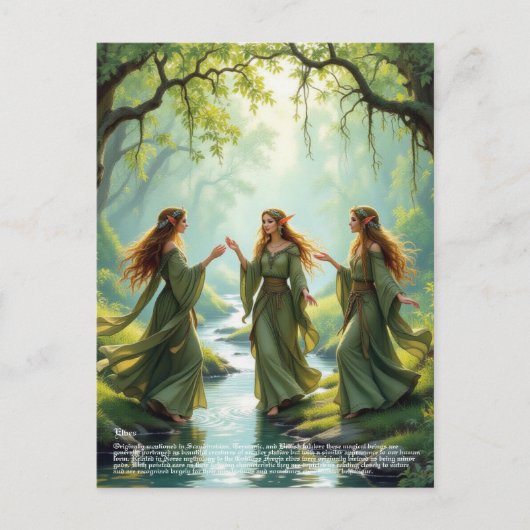 Elf Gathering Briefkaart (Voorkant)