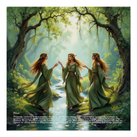 Elf Gathering Poster (Voorkant)