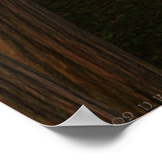 Elf Guardian Poster (Hoek)