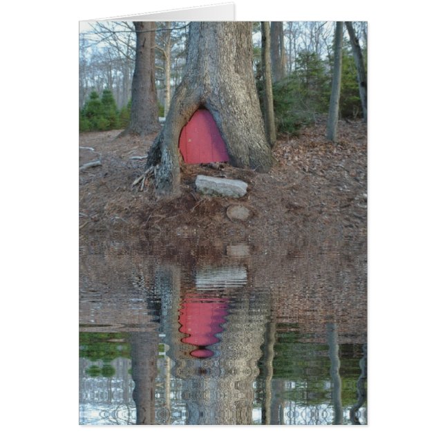 Elf House (Voorkant)