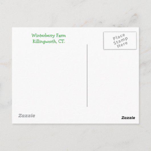 Elf House Briefkaart (Achterkant)