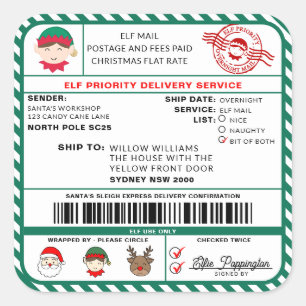 Elf Mail Kerstmis Verzendlabel Sticker