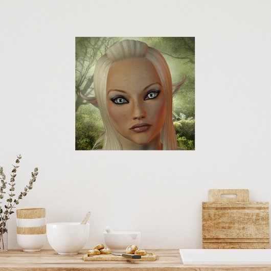 Elf Poster (Keuken)