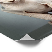 Elf Sfinx Kat Foto Poster (Hoek)