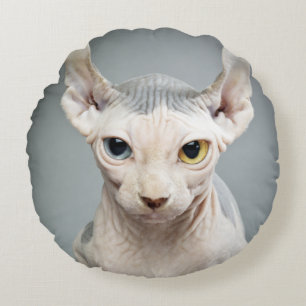 Elf Sphinx Cat Foto Afbeelding Rond Kussen