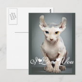 Elf Sphinx Cat Foto Afbeelding waar ik van hou Briefkaart (Voorkant / Achterkant)