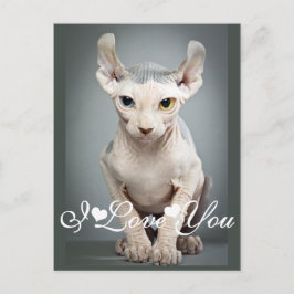 Elf Sphinx Cat Foto Afbeelding waar ik van hou Briefkaart