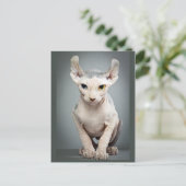 Elf Sphinx Cat-foto Briefkaart (Staand voorkant)