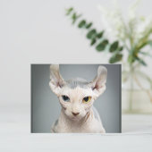 Elf Sphinx Cat-foto Briefkaart (Staand voorkant)