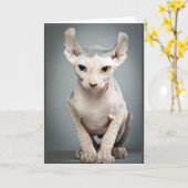 Elf Sphinx Cat-foto Kaart (Gele Bloem)