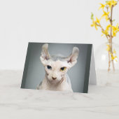 Elf Sphinx Cat-foto Kaart (Gele Bloem)