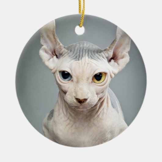 Elf Sphinx Cat-foto Keramisch Ornament (Voorkant)