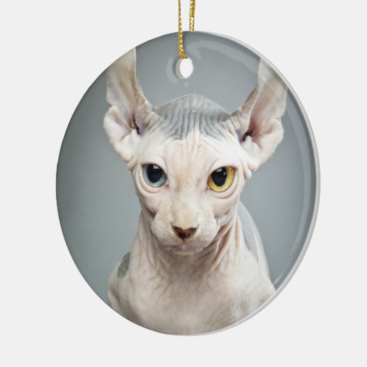 Elf Sphinx Cat-foto Keramisch Ornament (Links)