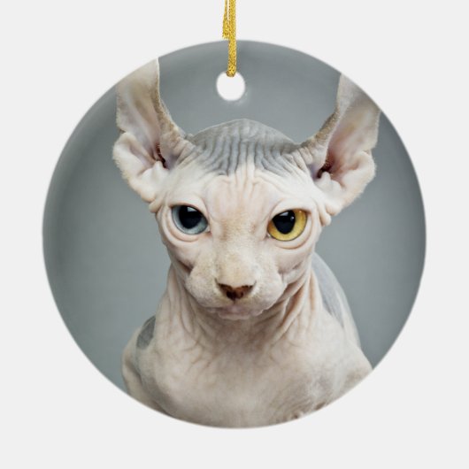 Elf Sphinx Cat-foto Keramisch Ornament (Achterkant)