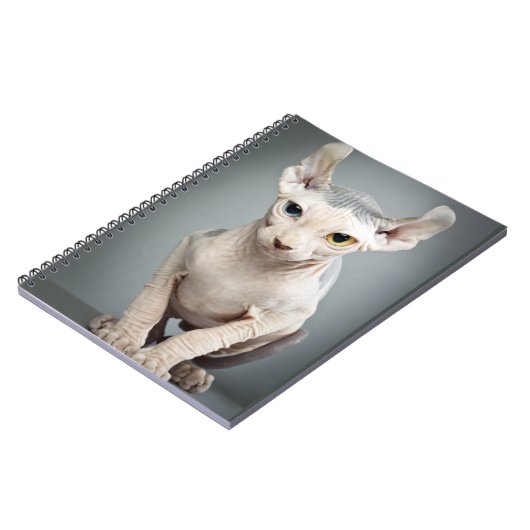 Elf Sphinx Cat-foto Notitieboek (Linkerzijde)