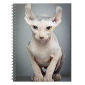 Elf Sphinx Cat-foto Notitieboek (Voorkant)