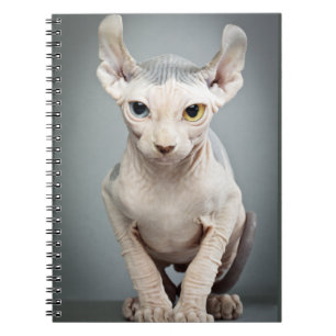 Elf Sphinx Cat-foto Notitieboek