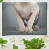 Elf Sphinx Cat-foto Theedoek (Gevouwen)