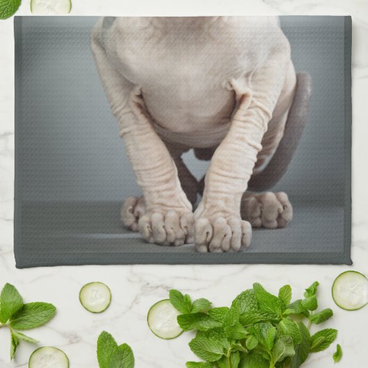 Elf Sphinx Cat-foto Theedoek (Gevouwen)