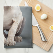 Elf Sphinx Cat-foto Theedoek (Quarter Fold)