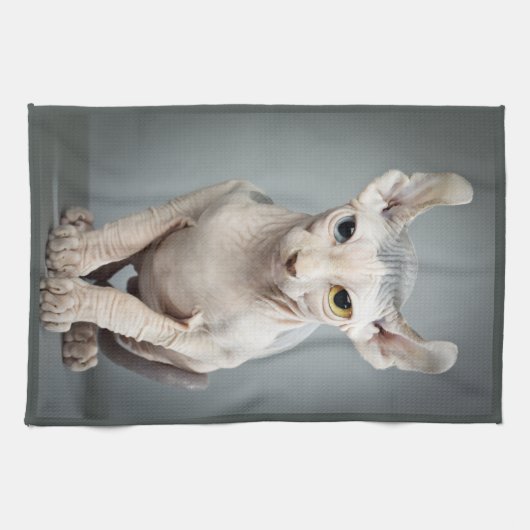 Elf Sphinx Cat-foto Theedoek (Horizontaal)