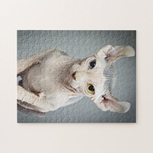 Elf Sphynx Cat-foto Legpuzzel (Horizontaal)