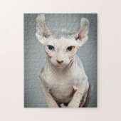 Elf Sphynx Cat-foto Legpuzzel (Verticaal)