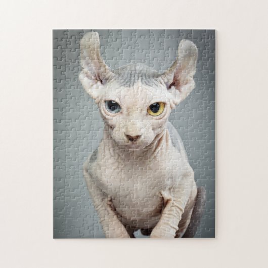 Elf Sphynx Cat-foto Legpuzzel (Verticaal)