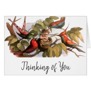 Elf Vogel Sprite Pixie Brownie Sprookje