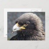 ELGF BRIEFKAART (Voorkant / Achterkant)